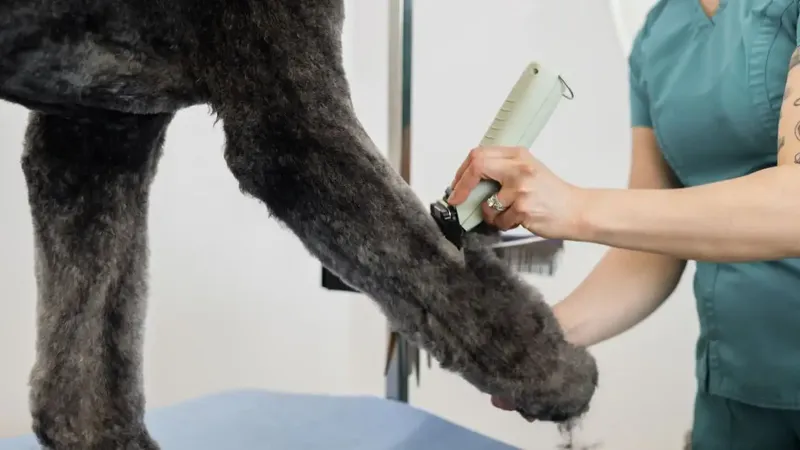 WAHL KMC+ Cordless - Slika 5